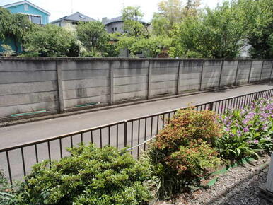 手入れの行き届いた植栽！前方道路は車の往来が少なく静かです。