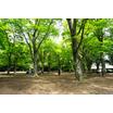 公園