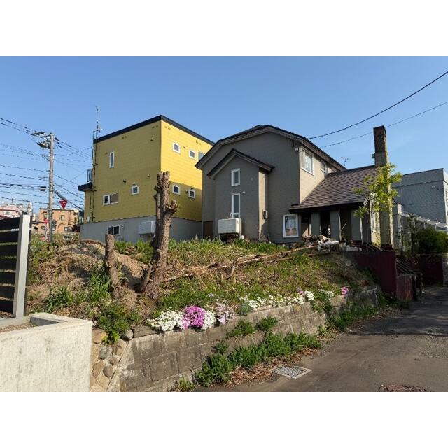 西側から