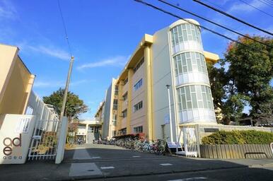 東村山市立野火止小学校