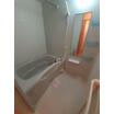 バス/シャワー