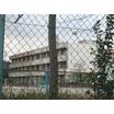 中学校
