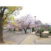 公園