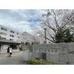 大学