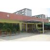 幼稚園、保育園