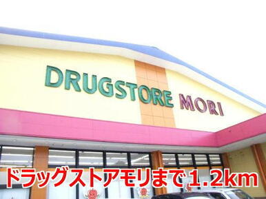ドラッグストアモリ