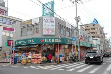 セガミ薬局清瀬店