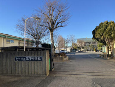 泰平中学校