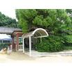 幼稚園、保育園