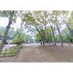 公園