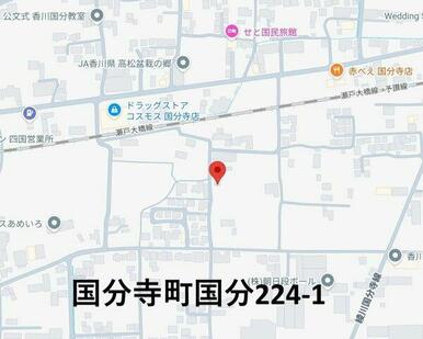 カーナビ表示：高松市国分寺町国分224-1