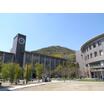 大学