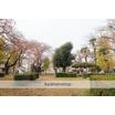 公園