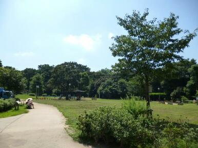 緑あふれる最寄の公園まで３００ｍ