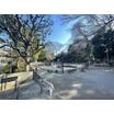 公園