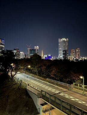 夜の眺望です！