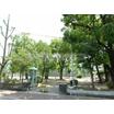 公園
