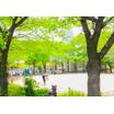 公園