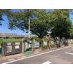 幼稚園、保育園