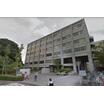 大学