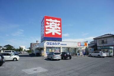■周辺施設■　ドラッグストアのウエルシア　宇都宮花房店まで徒歩９分（７２０ｍ）♪