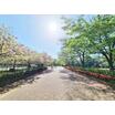 公園