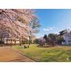 公園
