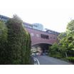 大学