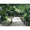 公園