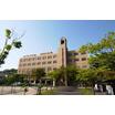 大学