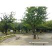 公園