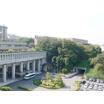 大学