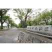 公園