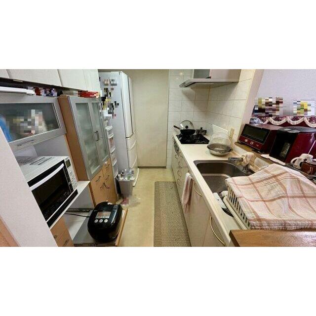 令和7年9月撮影