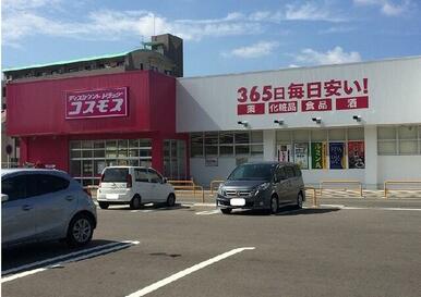 コスモス