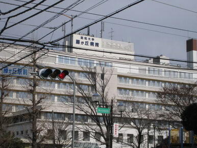 昭和大学藤が丘病院