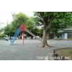 公園