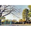 公園