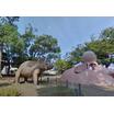 公園