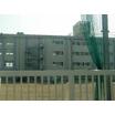 大学
