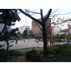 公園