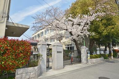 京都市立西京極小学校