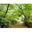 公園