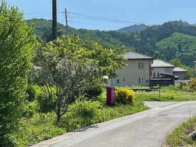 前面道路（秩父市公道）を撮影しました。