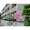 幼稚園、保育園