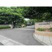 公園