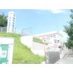 幼稚園、保育園