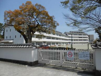 小田原市立三の丸小学校