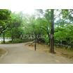 公園