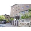 大学